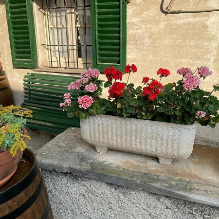 The Montevecchia Home - Frida Apartment Eksteriør billede