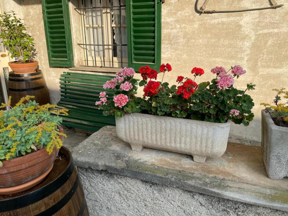 The Montevecchia Home - Frida Apartment Eksteriør billede